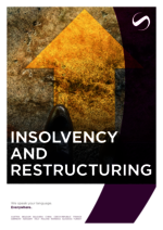 SAXINGER-HU_BF_2024-11_EN_Insolvency-and-Restructuring.pdf