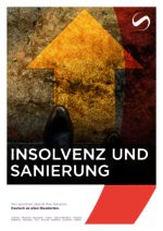 SAXINGER-HU_BF_2024-11_DE_Insolvenz-und-Sanierung.pdf