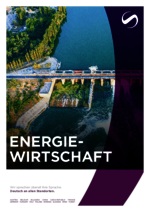 SAXINGER-HU_BF_2024-04_DE_Energiewirtschaft.pdf