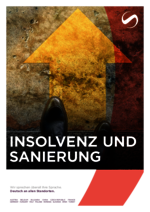 SAXINGER-HU_BF_2024-04_DE_Insolvenz-und-Sanierung.pdf