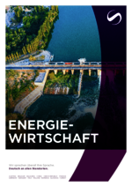 SAXINGER-HU_BF_2024-11_DE_Energiewirtschaft.pdf