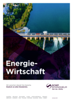 SCWP_BF_Energiewirtschaft_23_DE.pdf