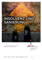 Insolverz_und_Sanierung_SCWP_web.pdf