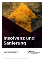 SCWP_BF_Insolvenz-und-Sanierung_23_DE.pdf
